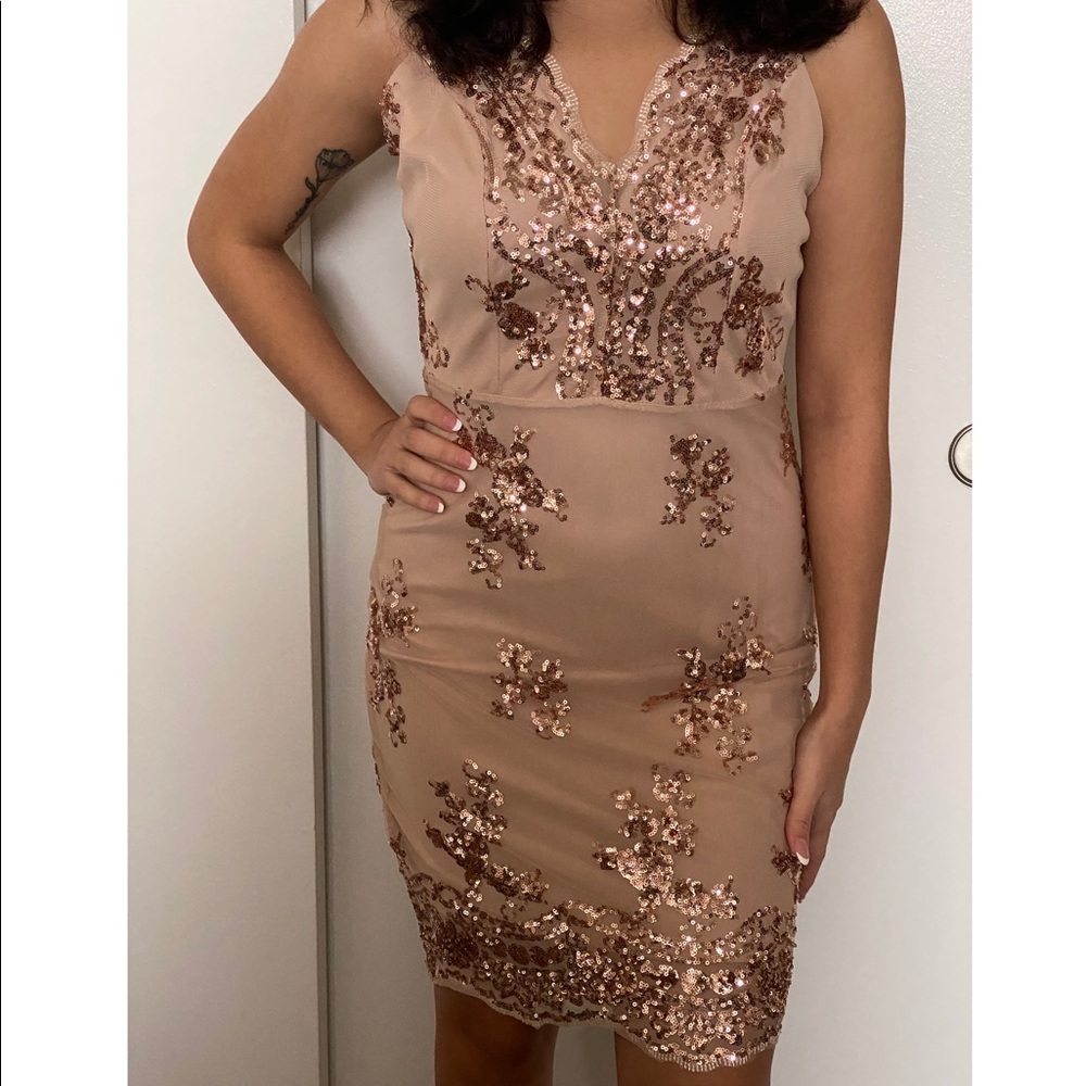 Nude Rose Gold Sequin Dress